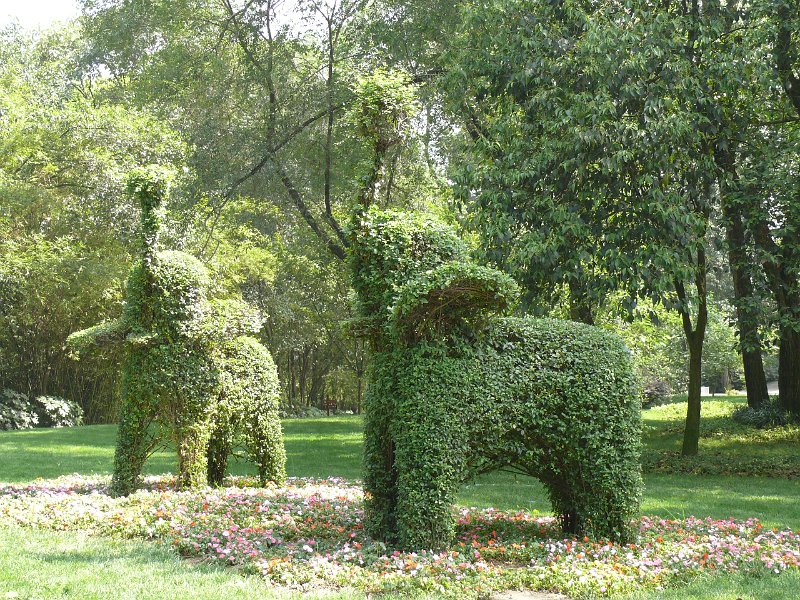Pandas (061).jpg